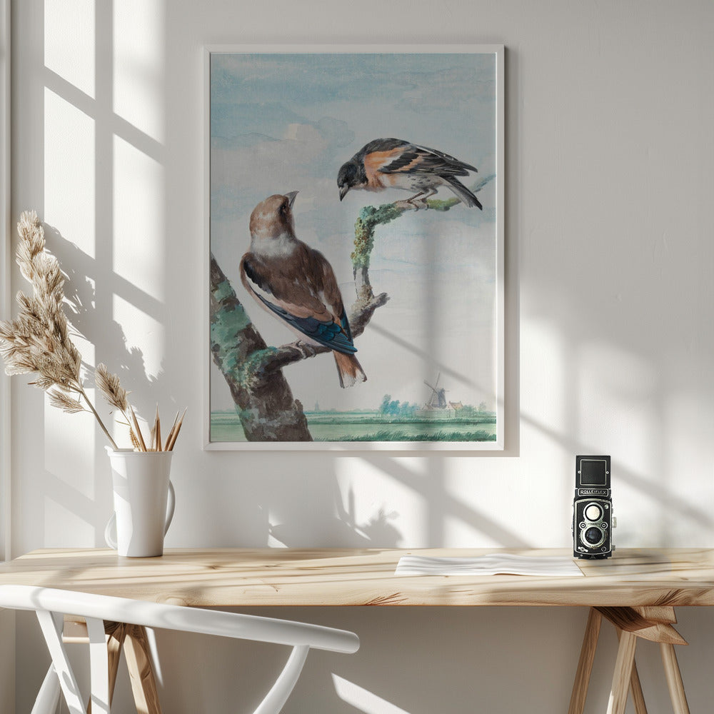 Two Birds  Hawfinch - Poster / Art Print - interiör