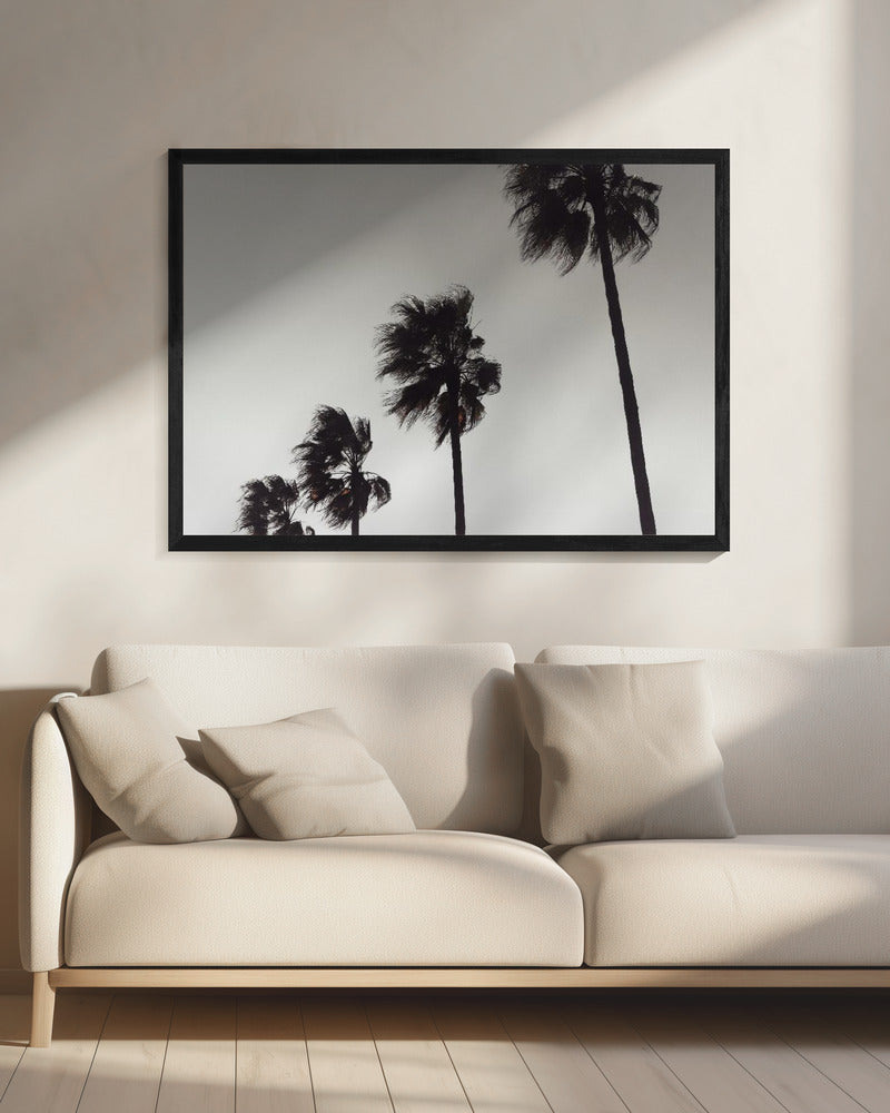 Palm_004 - Poster / Art Print - interiör