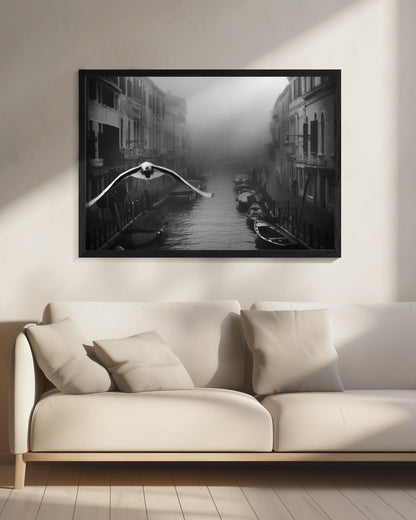 Seagull from the mist - Poster / Art Print - interiör