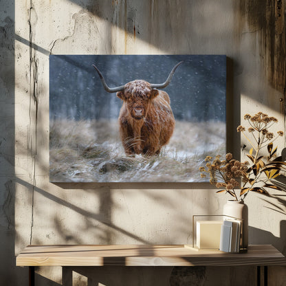 Snowy Highland cow - Poster / Art Print - interiör