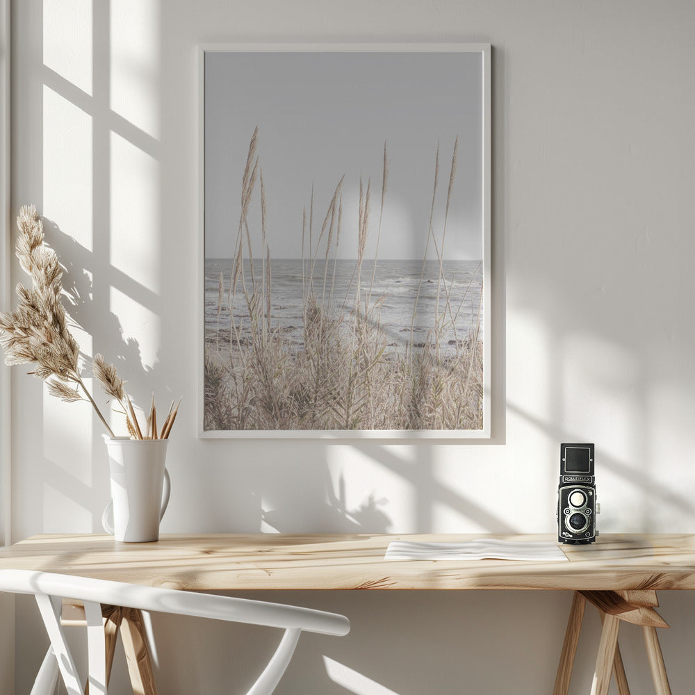 Beach_Vass_001 - Poster / Art Print - interiör