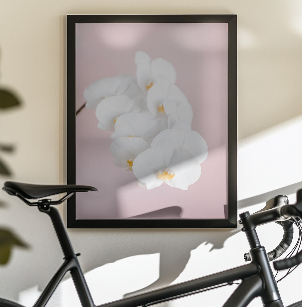 Orchid_2 - Poster / Art Print - interiör