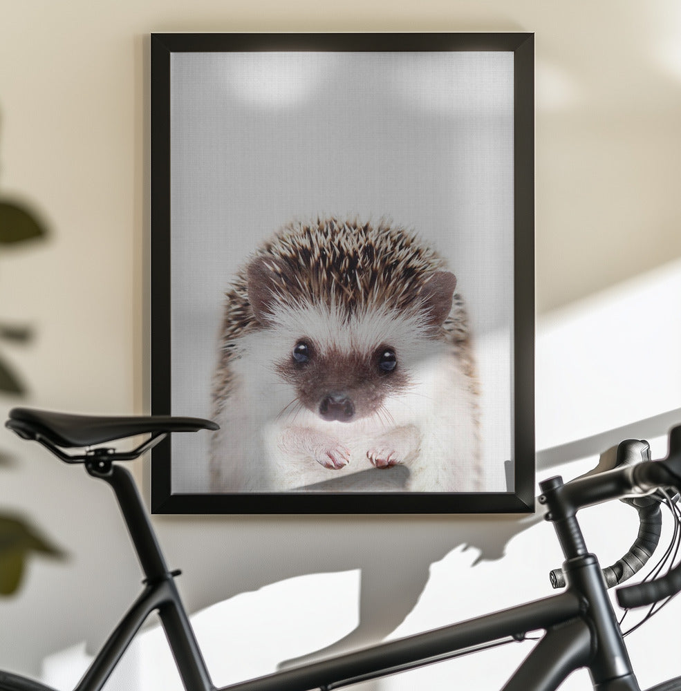 Peekaboo Hedgehog - Poster / Art Print - interiör