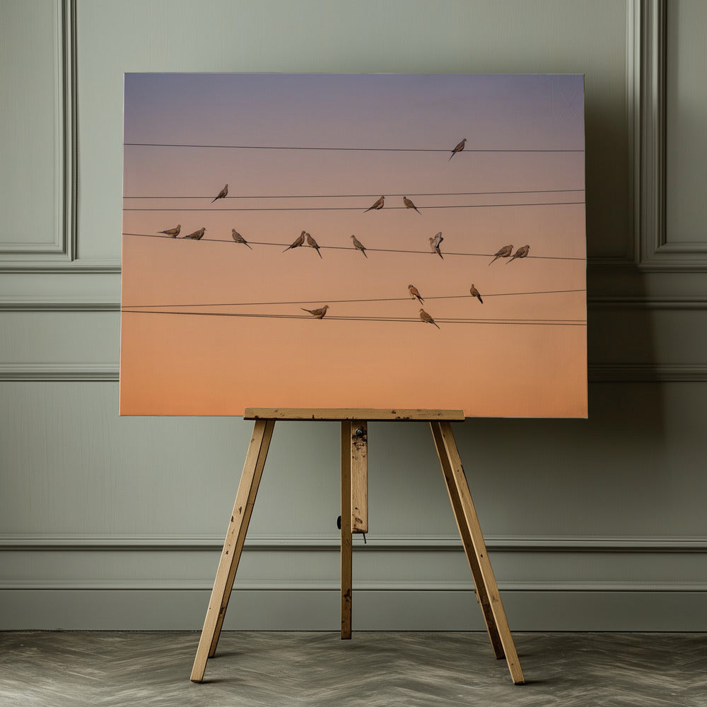 Music of Light - Poster / Art Print - interiör