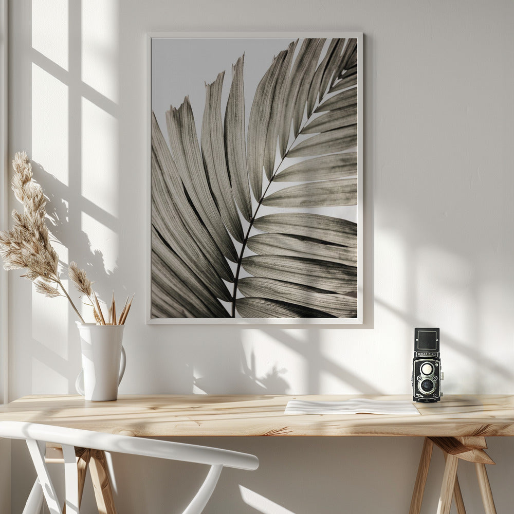 Palm Leaves 22 - Poster / Art Print - interiör