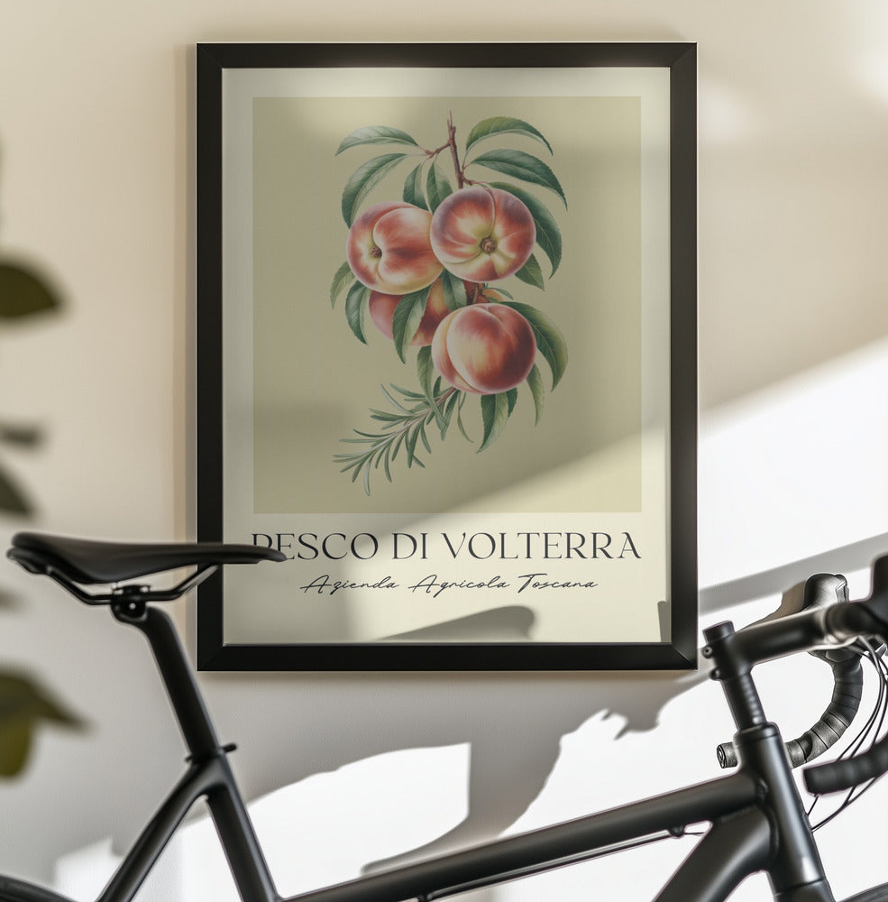 Pesco Di Volterra - Poster / Art Print - interiör