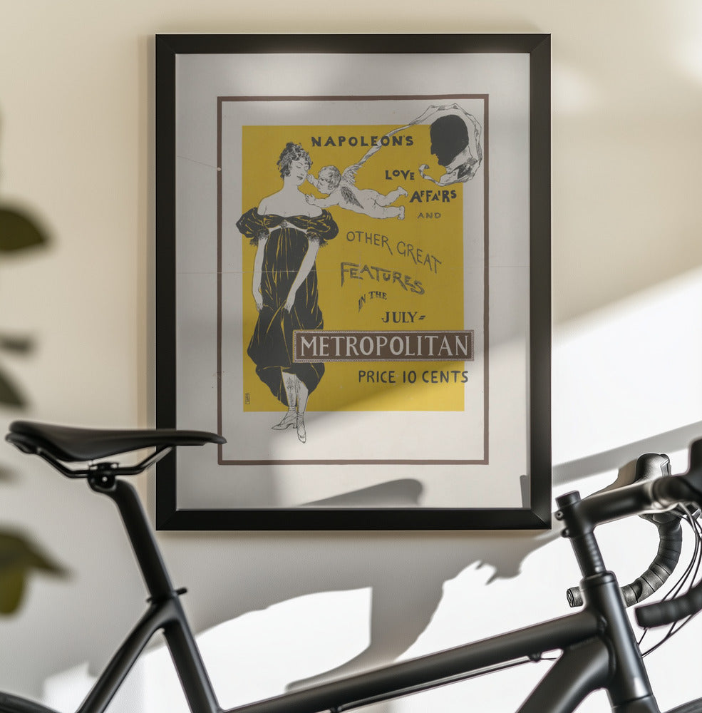 Napoleons Love Affair - Poster / Art Print - interiör