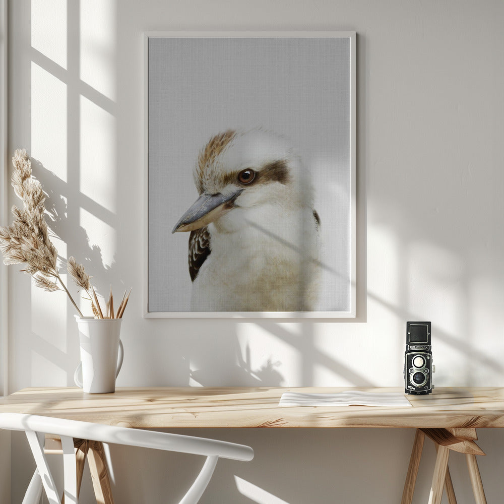 Peekaboo Kookaburra - Poster / Art Print - interiör