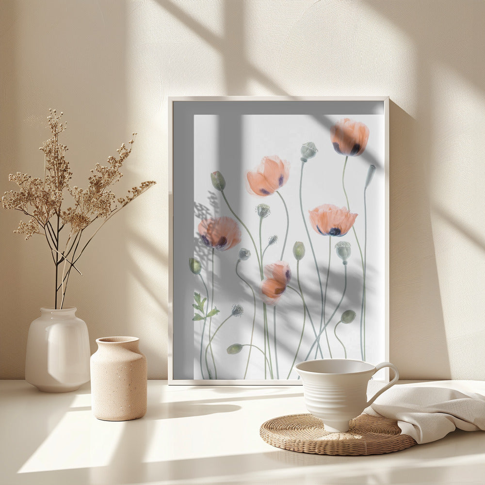 Poppies - Poster / Art Print - interiör