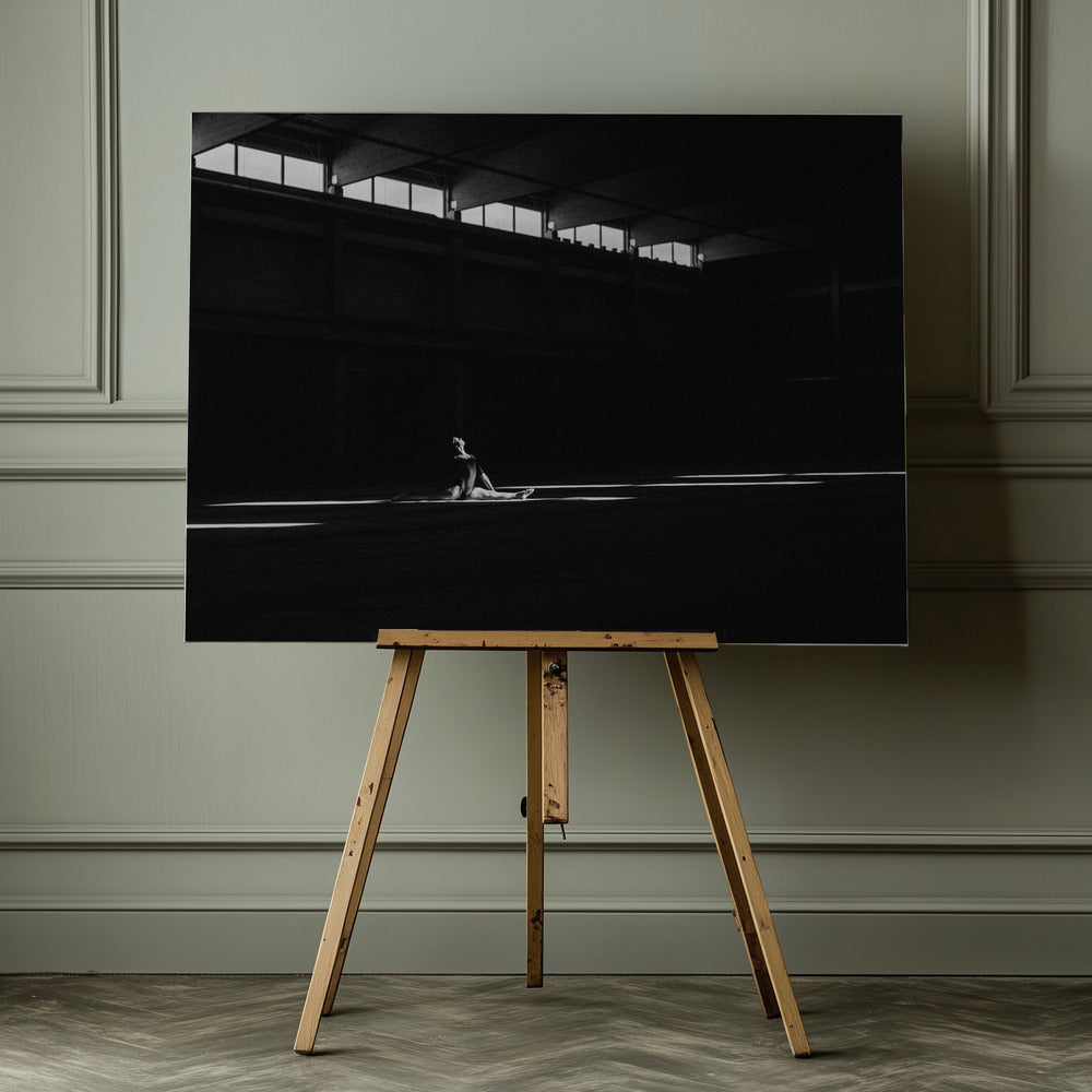 Ballando nella luce - Poster / Art Print - interiör