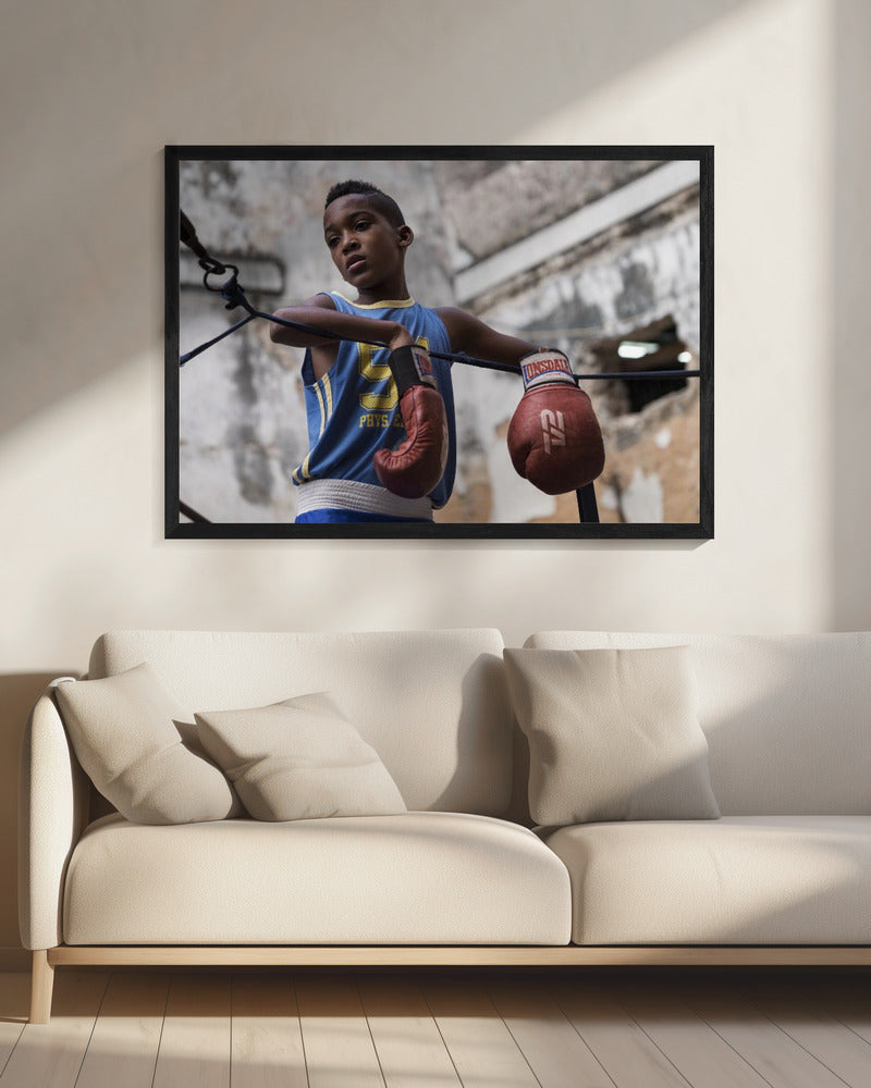 Boxing - Poster / Art Print - interiör