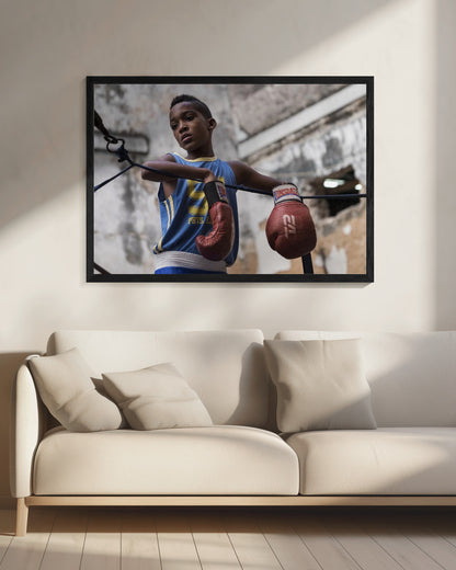 Boxing - Poster / Art Print - interiör
