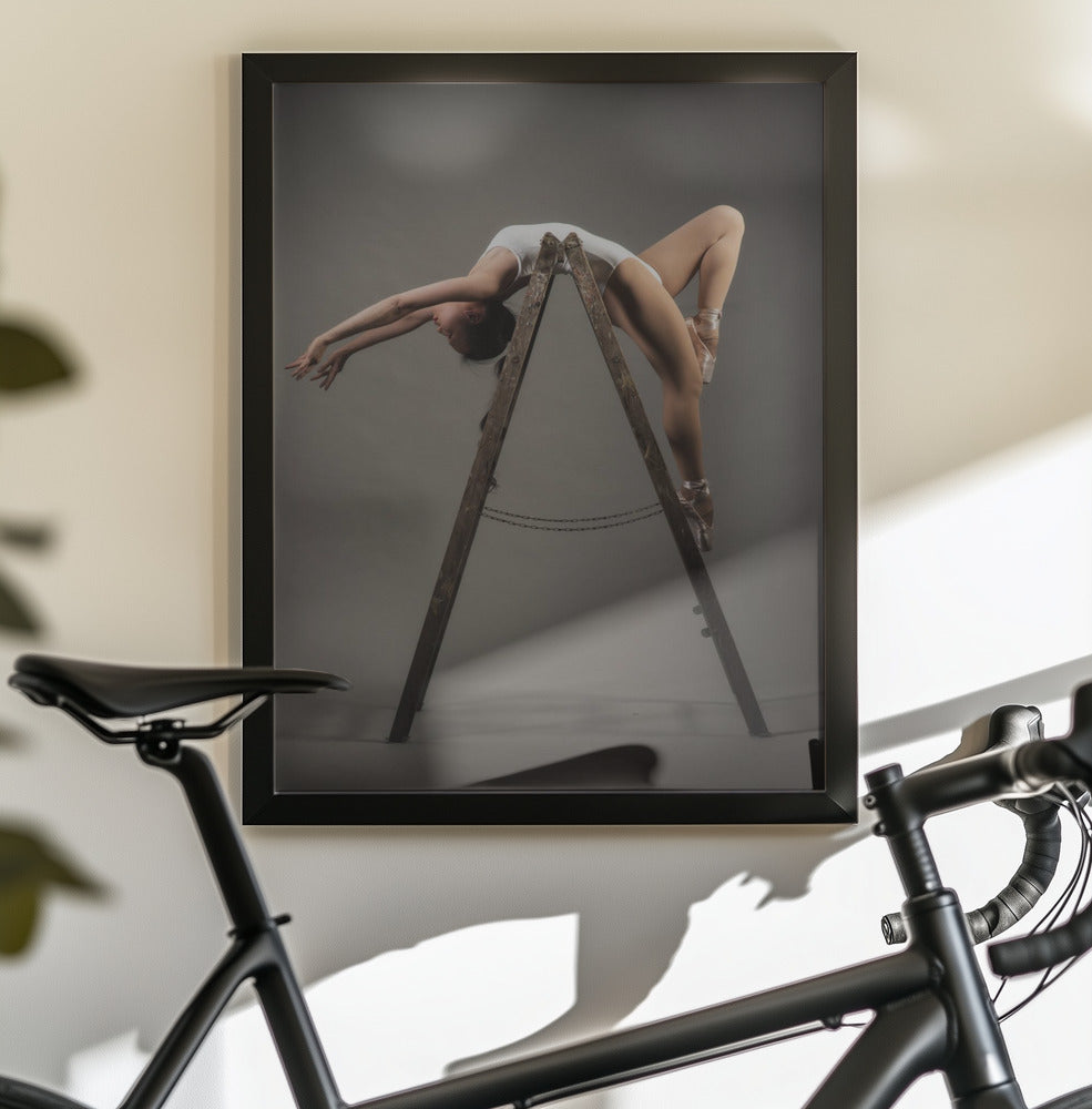 how to use a ladder - Poster / Art Print - interiör