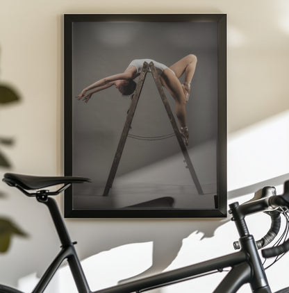 how to use a ladder - Poster / Art Print - interiör