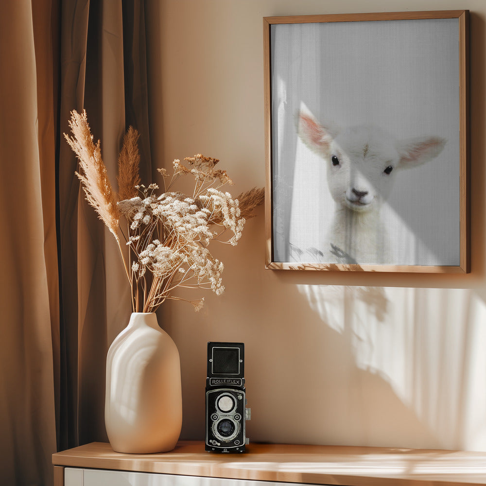 Peekaboo Baby Sheep - Poster / Art Print - interiör