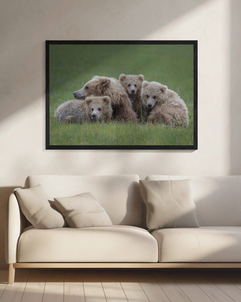 Bear Huddle - Poster / Art Print - interiör