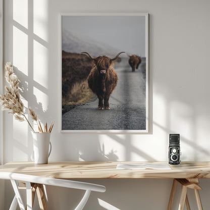 Cow - Poster / Art Print - interiör