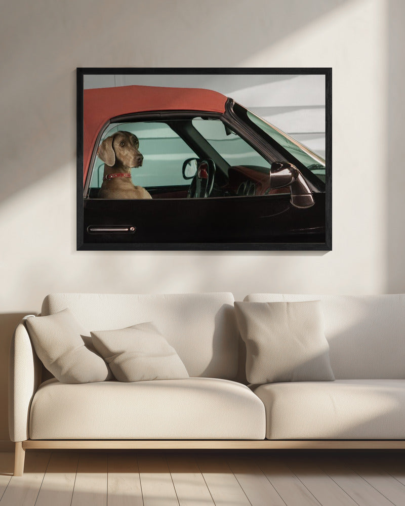 lady - Poster / Art Print - interiör
