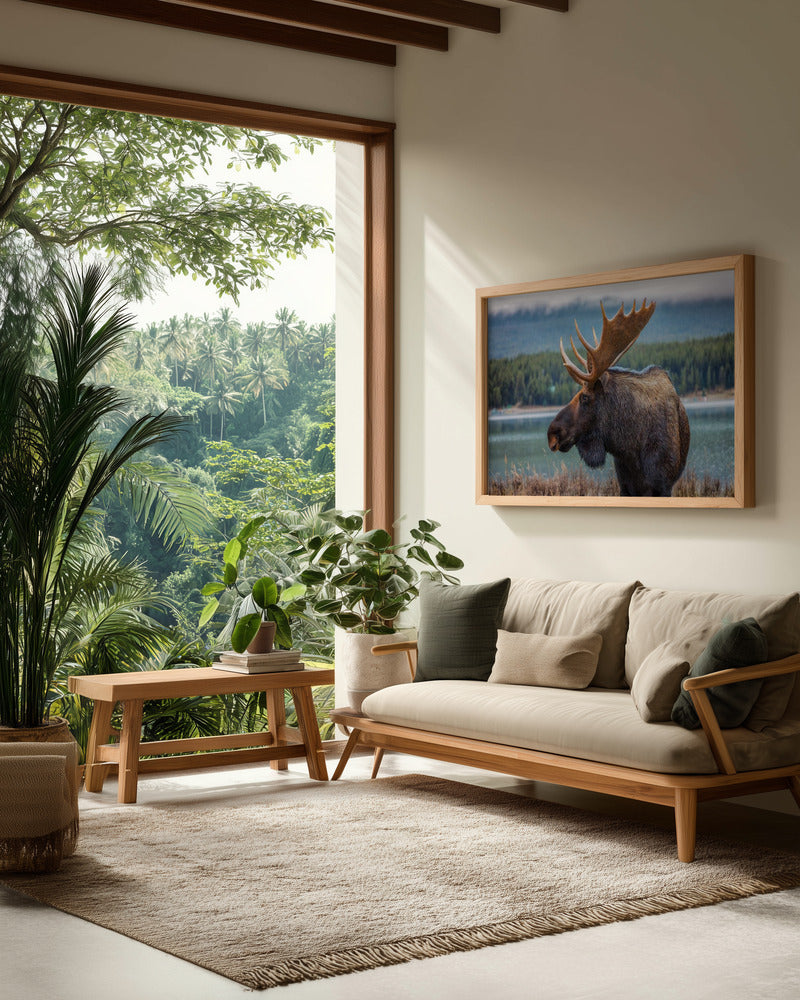 Moose - Poster / Art Print - interiör