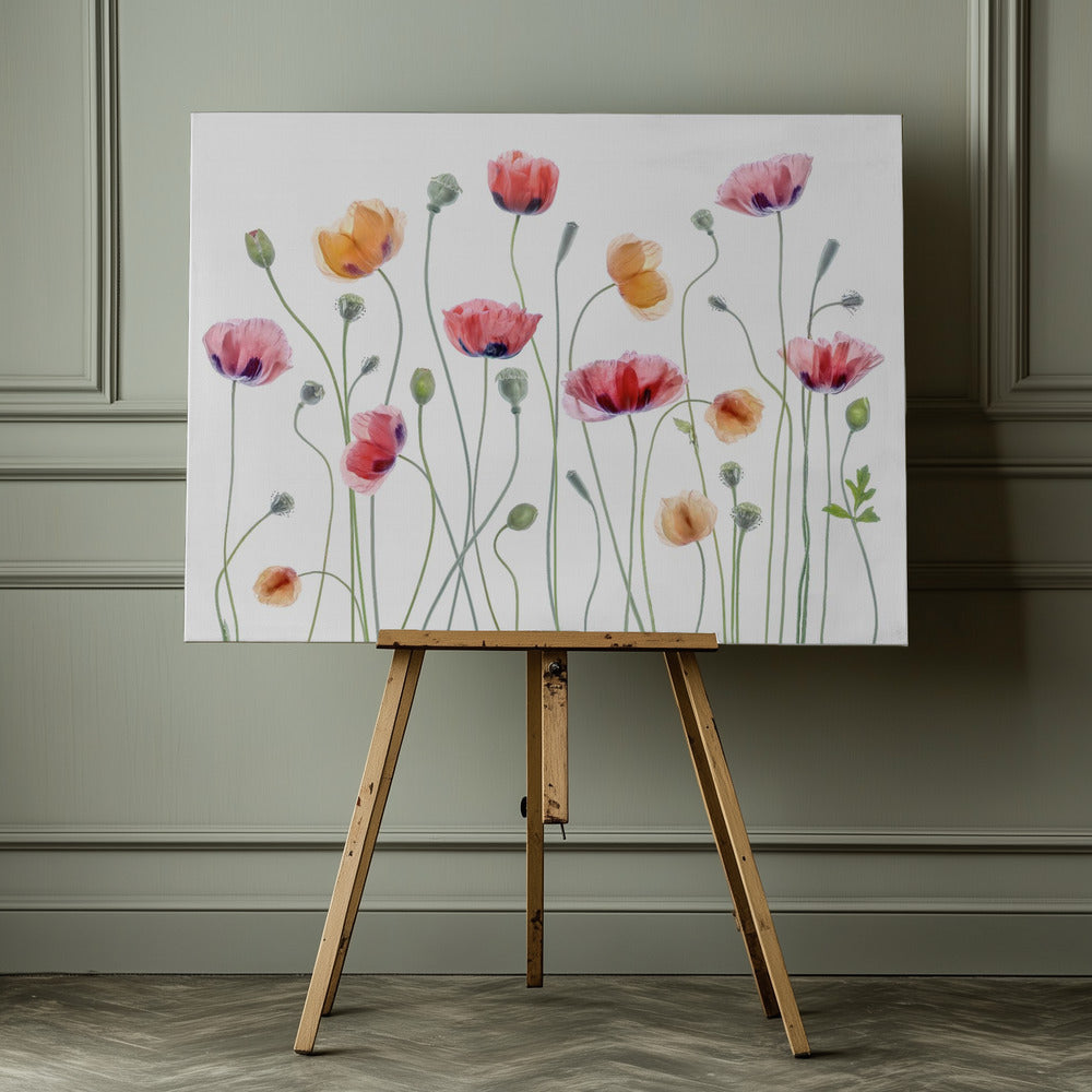 Papaver party - Poster / Art Print - interiör