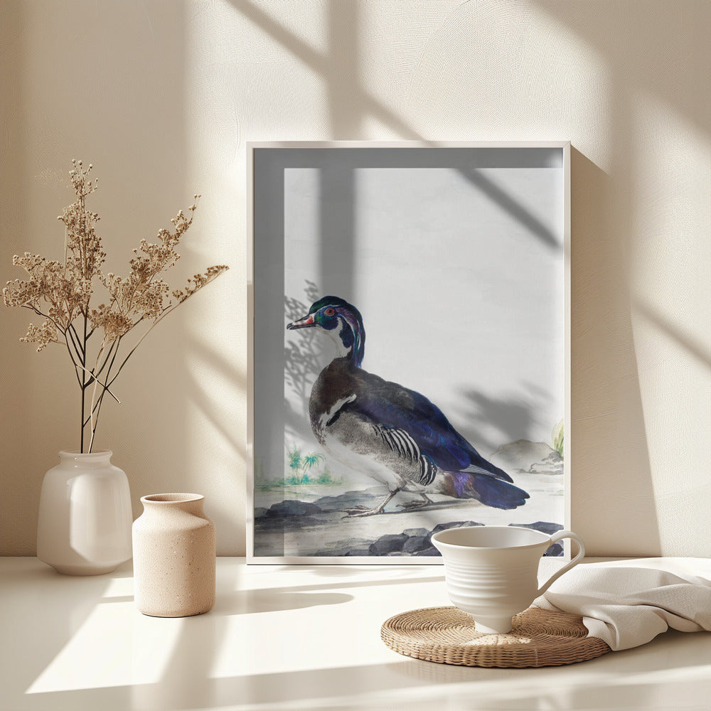 A Duck - Poster / Art Print - interiör