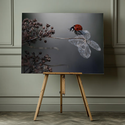 Ladybird on hydrangea. - Poster / Art Print - interiör