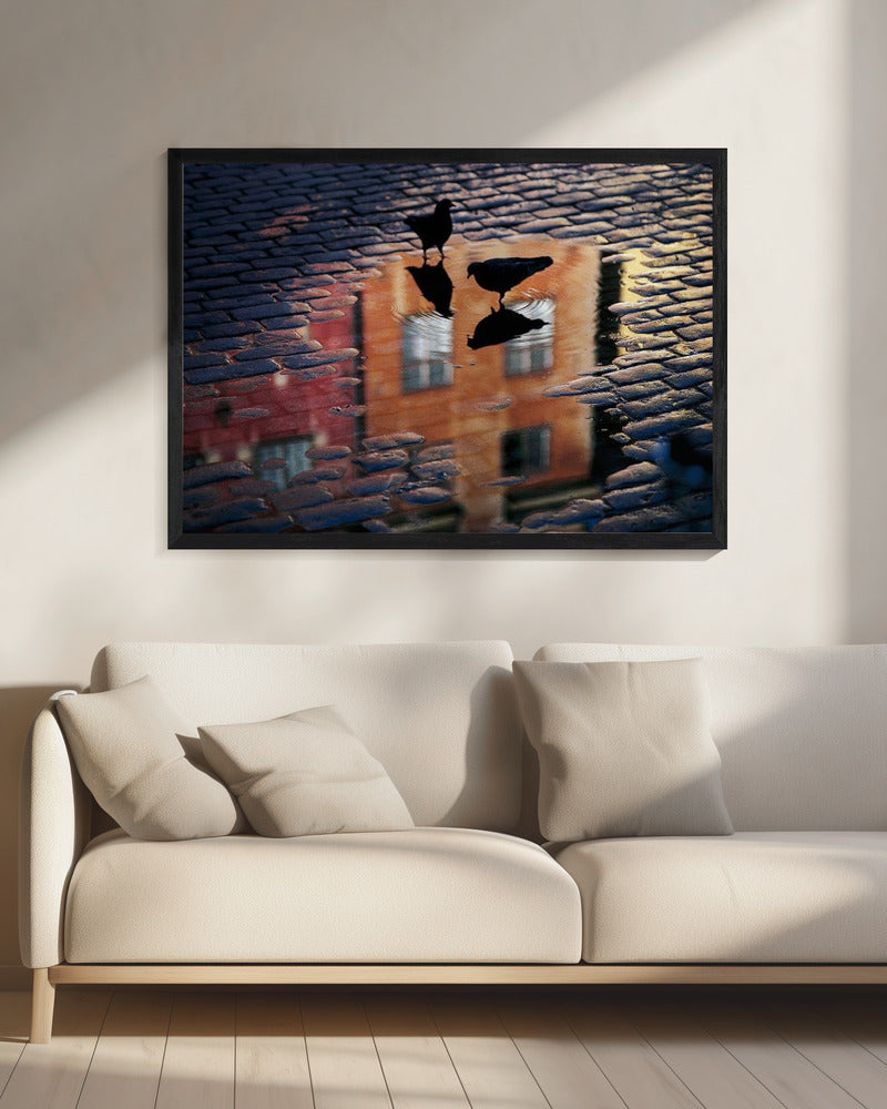 Pigeons - Poster / Art Print - interiör