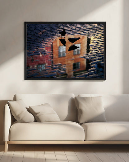 Pigeons - Poster / Art Print - interiör