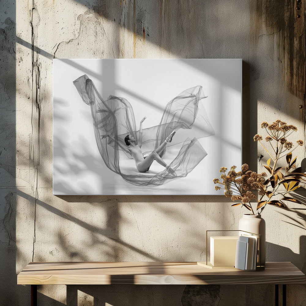 Ballerina Inside the cloth - Poster / Art Print - interiör