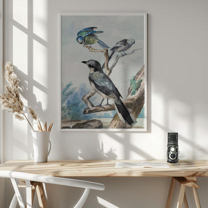 Three Birds - Poster / Art Print - interiör