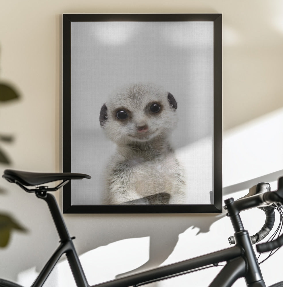 Peekaboo Baby Meerkat - Poster / Art Print - interiör