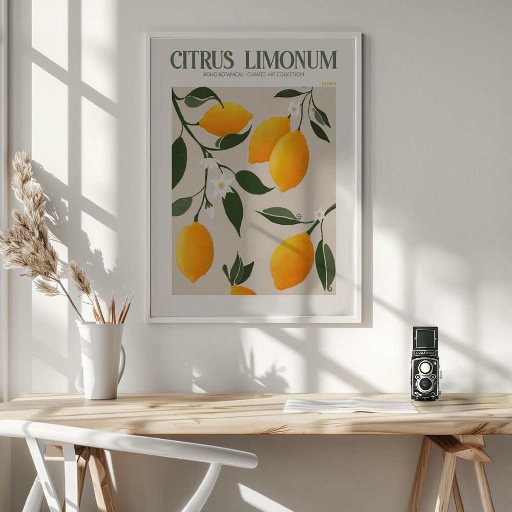 Citrus Limonum - Lemon - Poster / Art Print - interiör