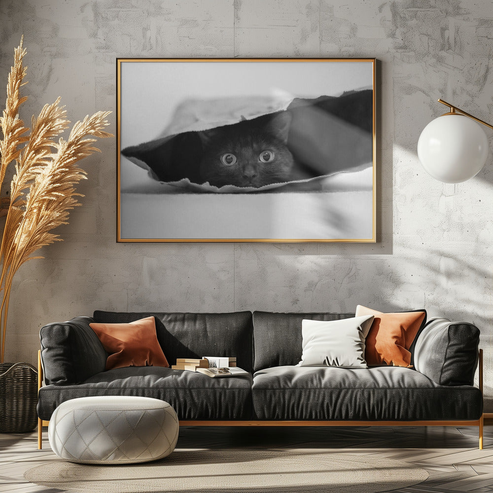Cat in a bag - Poster / Art Print - interiör