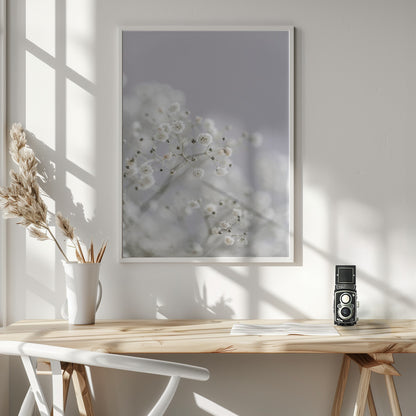 White Breath Flowers - Poster / Art Print - interiör