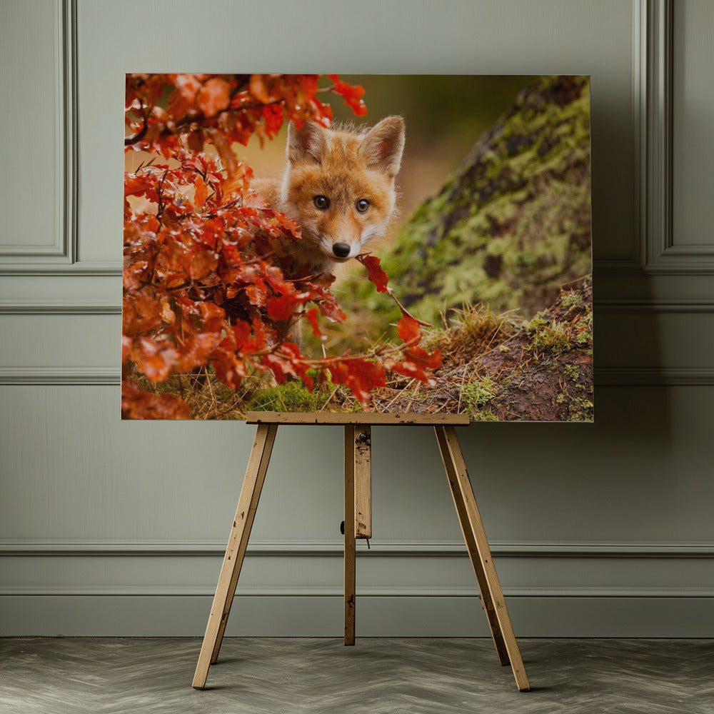 Fox - Poster / Art Print - interiör