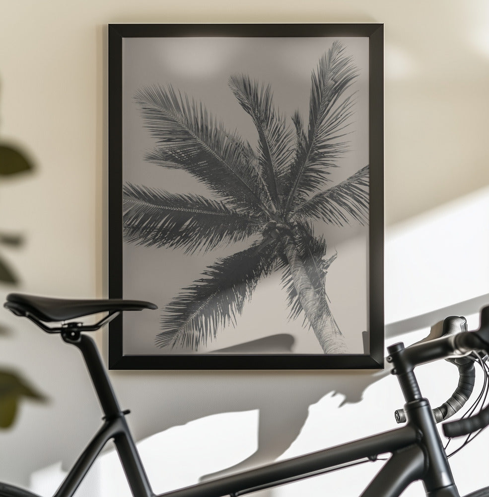 Palm Tree - Poster / Art Print - interiör