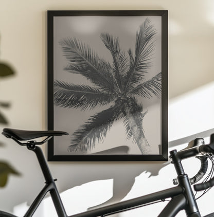 Palm Tree - Poster / Art Print - interiör