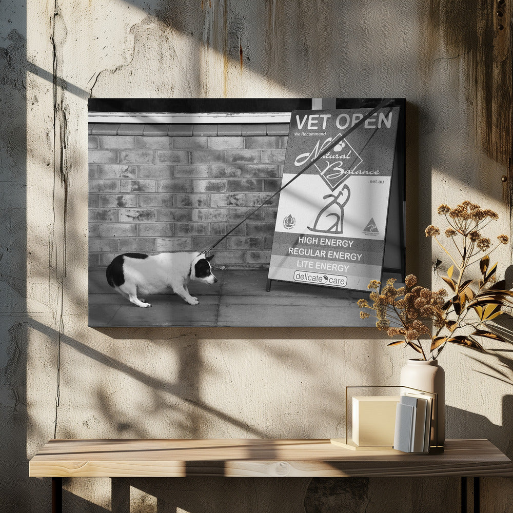 No, no.....definitely NO....! - Poster / Art Print - interiör