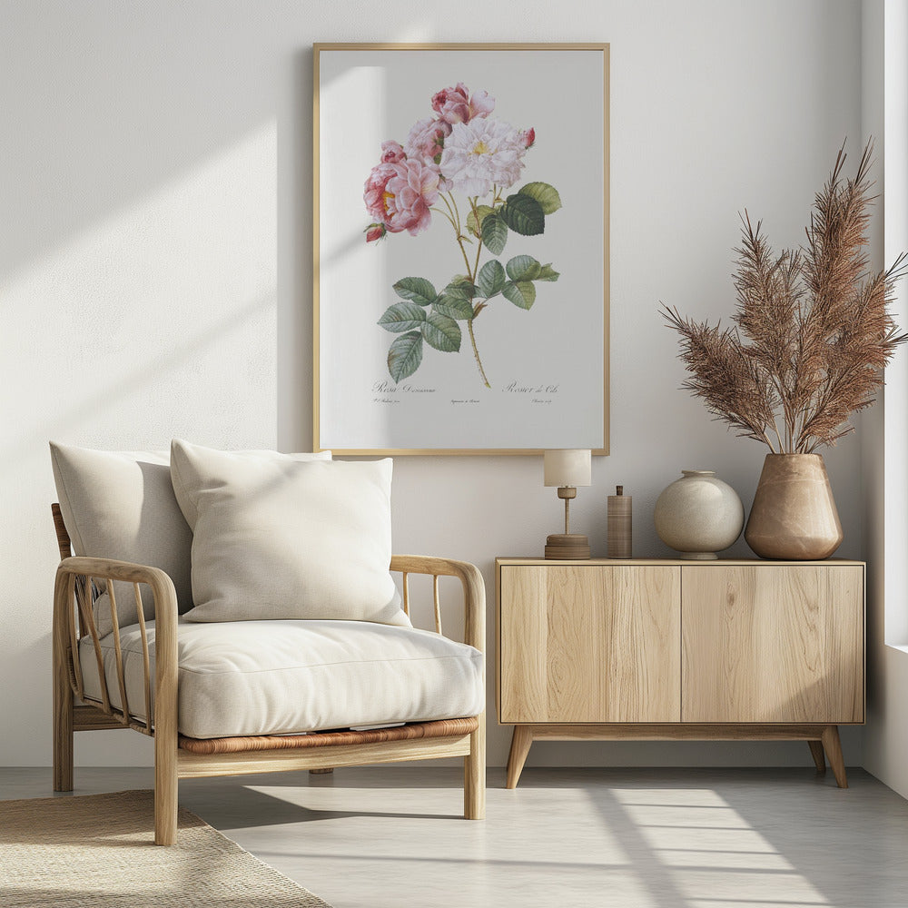 Rosebush, Les Roses (1817–1824) - Poster / Art Print - interiör