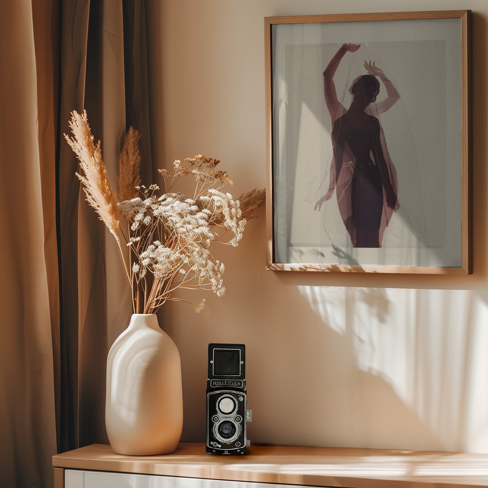 Silhouette of a Woman Draped in Sheer Fabric - Poster / Art Print - interiör