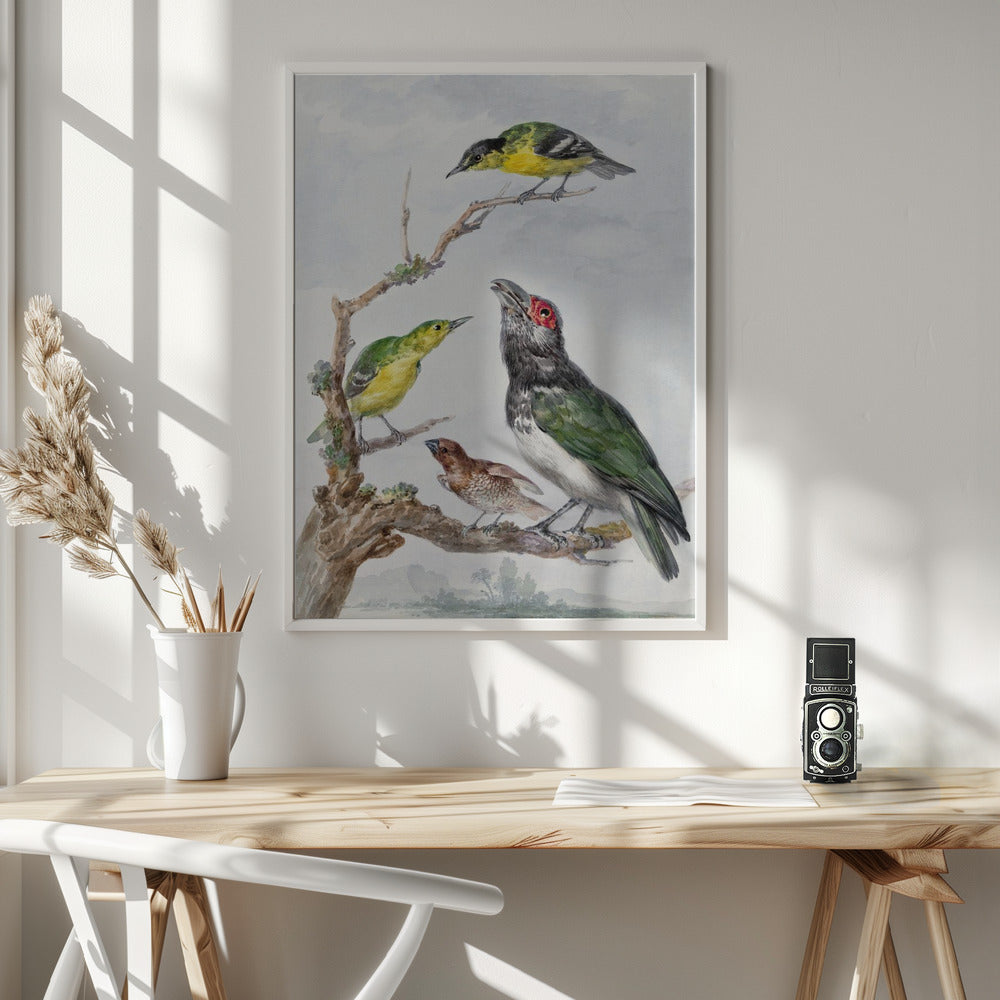 Four Different Birds On a Branch - Poster / Art Print - interiör