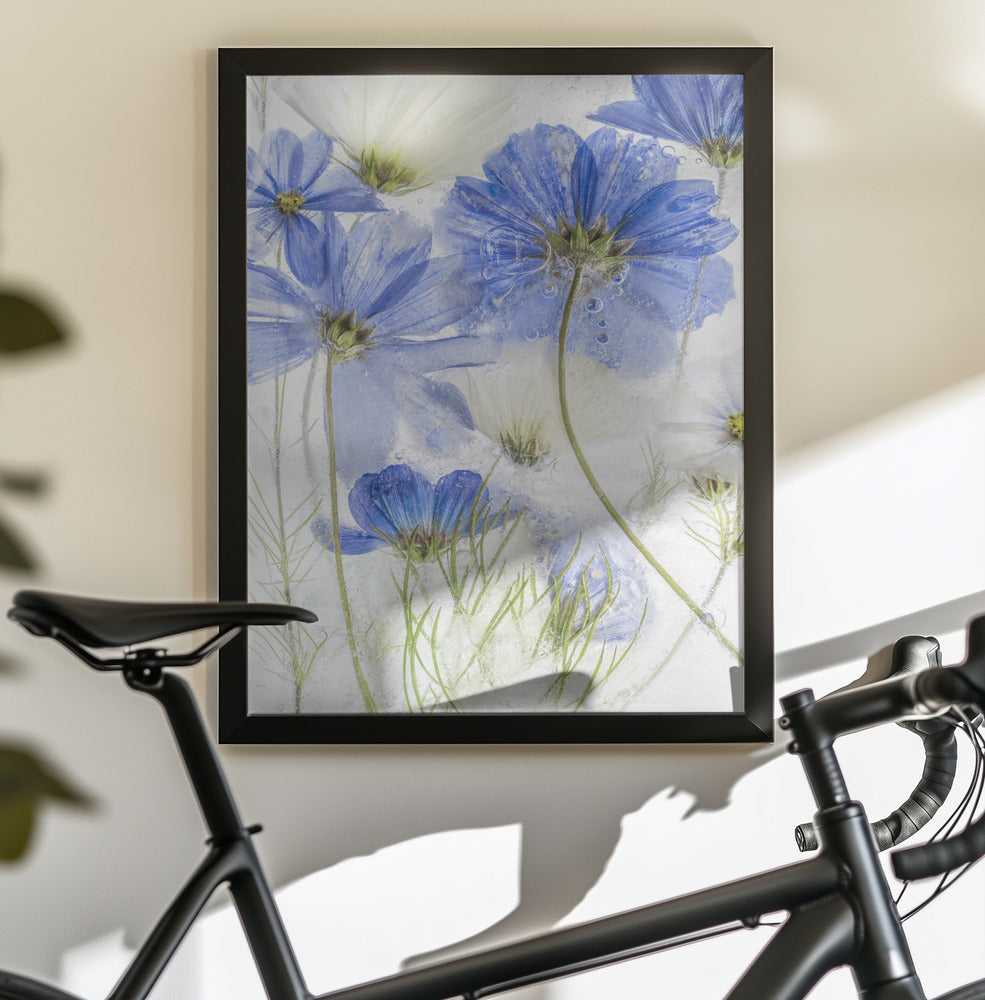 Cosmos blue - Poster / Art Print - interiör
