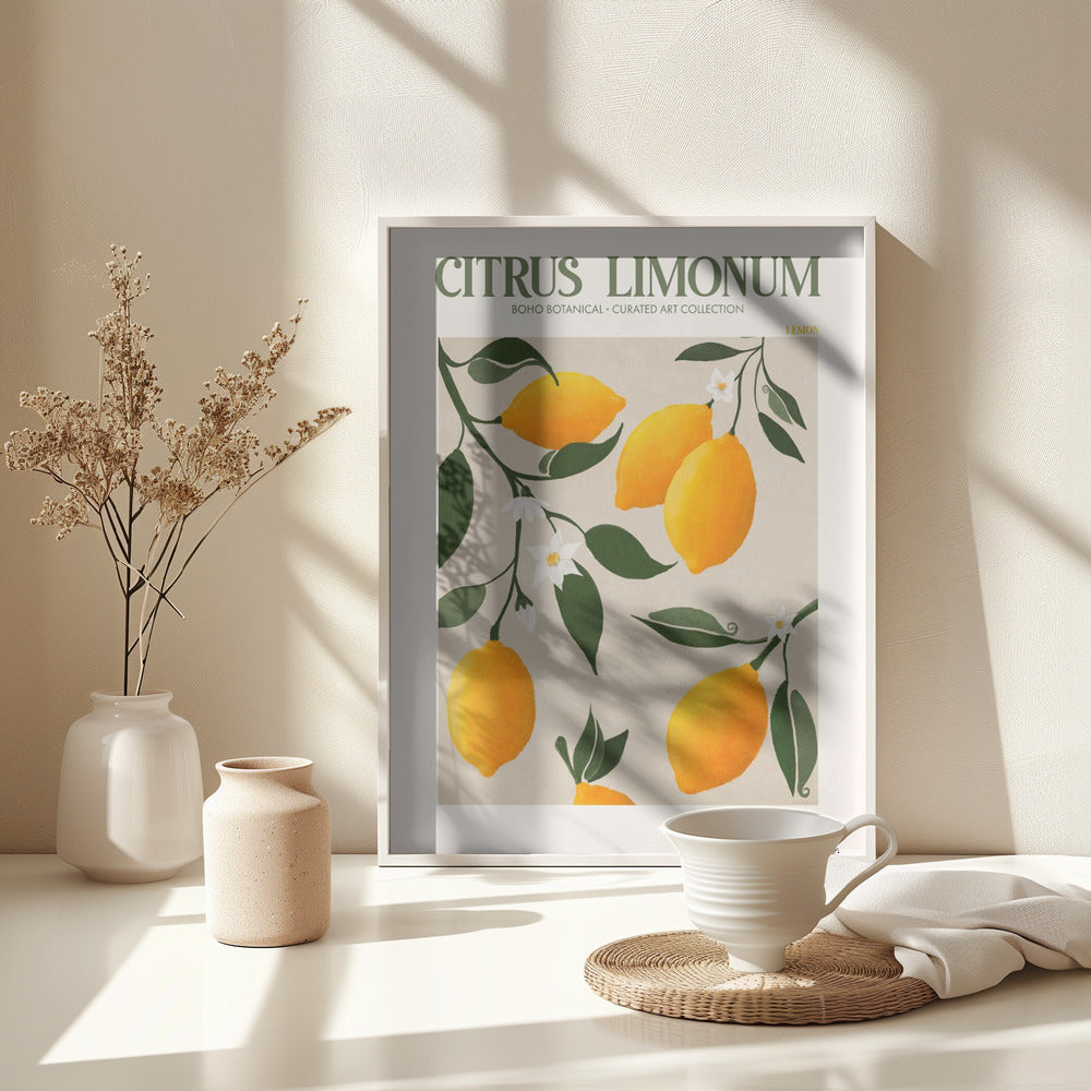 Citrus Limonum - Lemon - Poster / Art Print - interiör