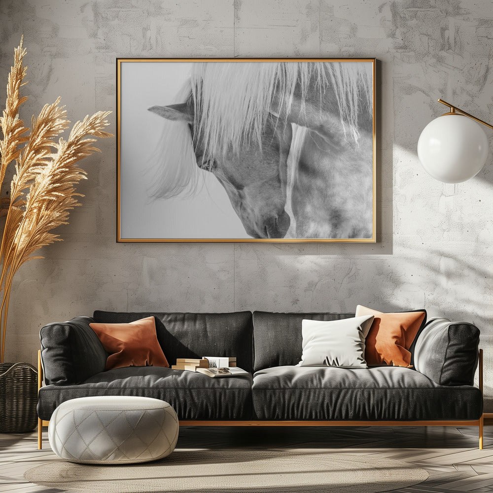 Halflinger Portrait - Poster / Art Print - interiör