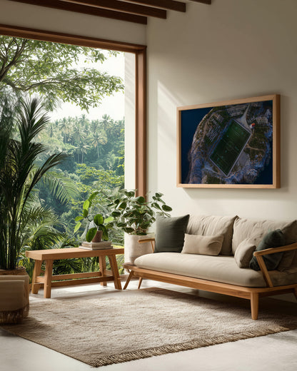The furthest football field - Poster / Art Print - interiör