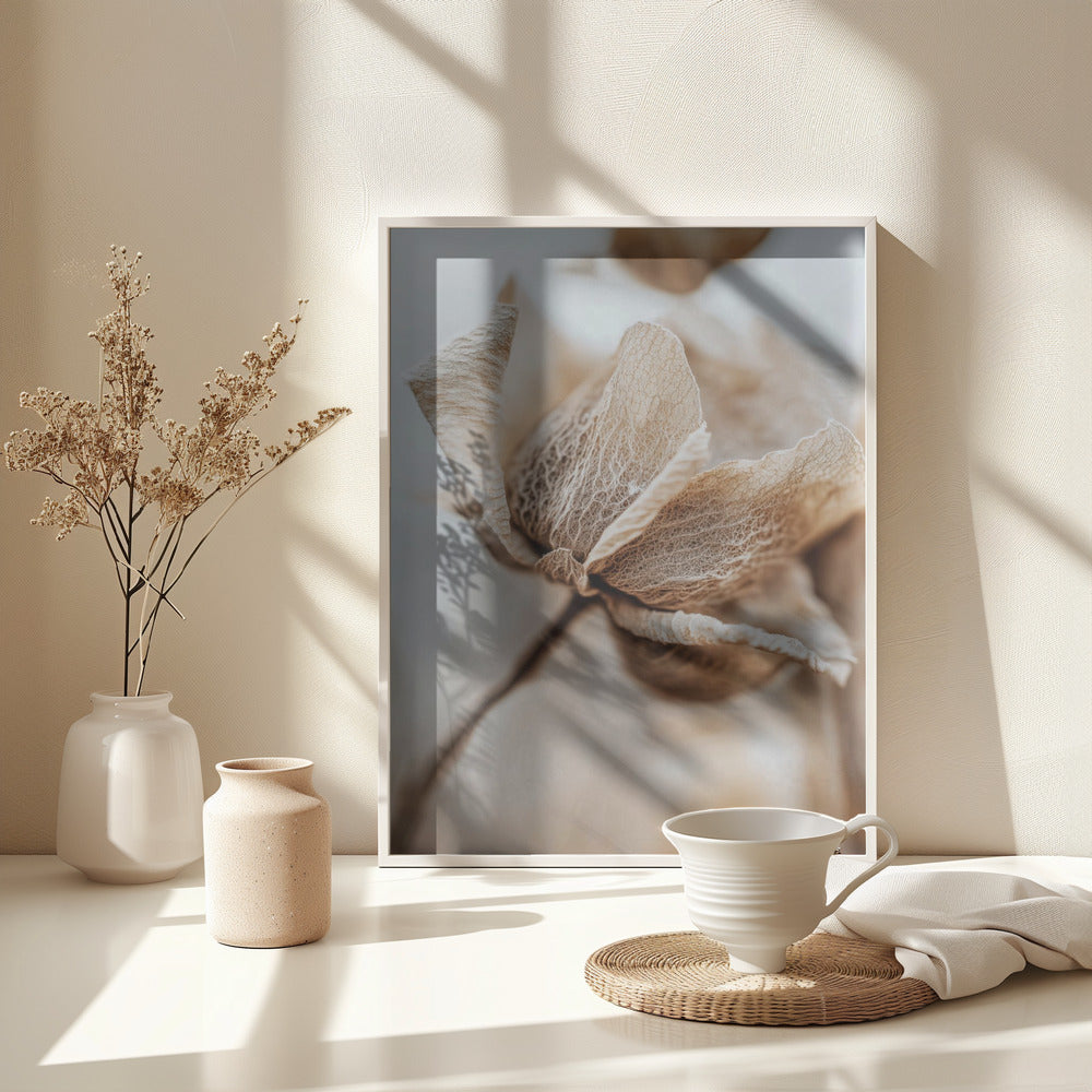 Dry flower detail No 3 - Poster / Art Print - interiör