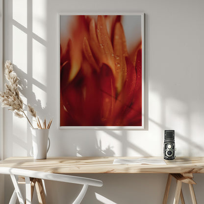 Red Flowers 03 - Poster / Art Print - interiör