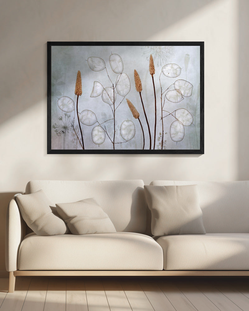 Lunaria - Poster / Art Print - interiör