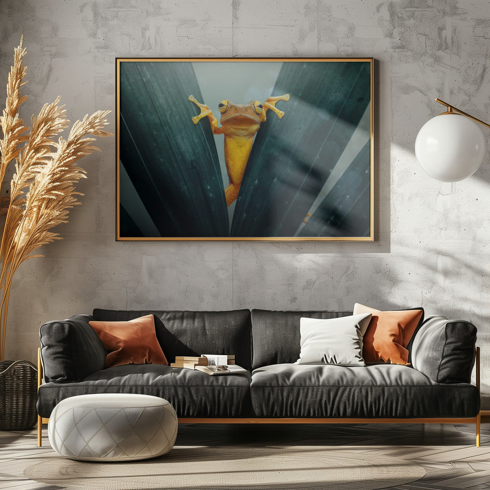 Gold Frog - Poster / Art Print - interiör