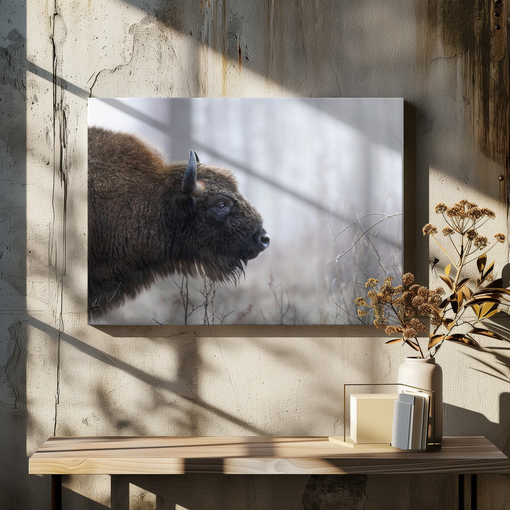 Bison's profile - Poster / Art Print - interiör